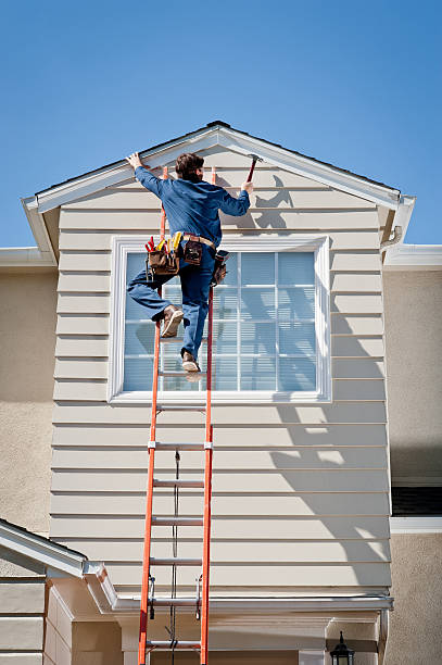 Best Custom Trim and Detailing for Siding  in Palmetto, FL