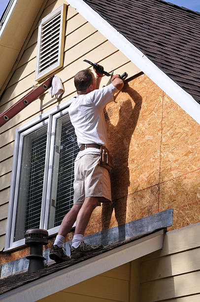 Best Insulated Siding Installation  in Palmetto, FL